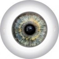 Глаза для кукол, размер глаза 10 мм, полусфера арт. 51к